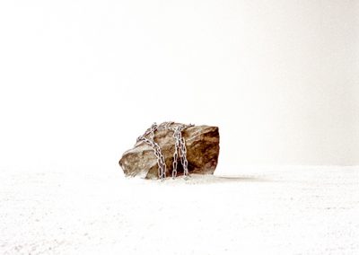 Dieses Foto zeigt ein Objekt aus dem Projekt "Edle Wahrheiten"