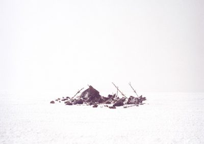 Dieses Foto zeigt ein Objekt aus dem Projekt "Edle Wahrheiten"